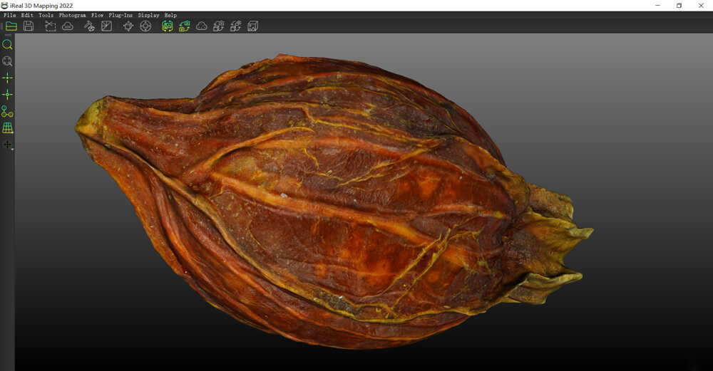 3d data of cape jasmine fruit 3