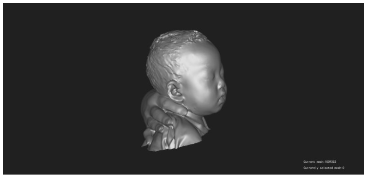 Obtain 3D data of heads-1