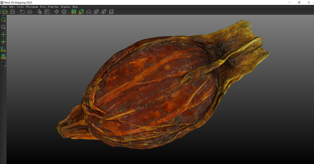 3d data of cape jasmine fruit 2