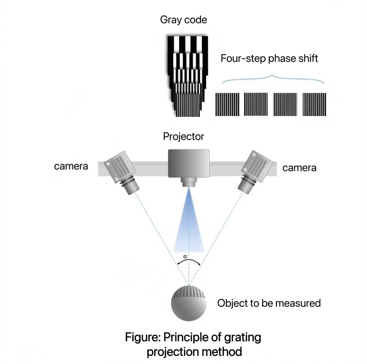 Fringe Projection